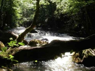  In the middle of nature 